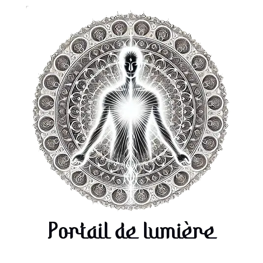 logo du site portaildelumiere.com